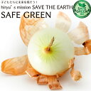 サラダ玉葱 化学農薬・化学肥料不使用 北海道産 玉ねぎ タマネギ SAFE GREEN認証 セーフグリーン認証野菜