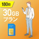 yz30GB/180 vyChSIMJ[h ĝSIM f[^ʐMsim docomo MVNO  4G/LTEΉ p { p