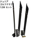 ゴルフクラブセット ジュニア 12本 (1W,4W,#3~9,P/W,S,PT)ゴルフ クラブ 子ども用