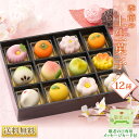敬老の日 季節の上生菓子12種【送料無料】プレゼント和菓子 風呂敷 軽減税率対象グル