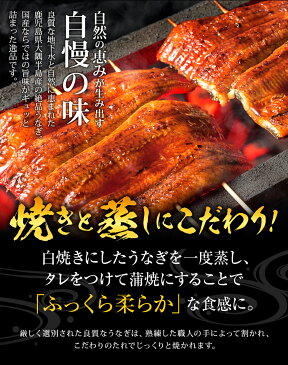 鹿児島県産 うなぎ蒲焼　約130g×5尾入り 有頭 送料無料 うなぎ ウナギ 鰻 蒲焼き 国産 土用丑の日 食べ物 食品 お礼 ギフト お取り寄せグルメ