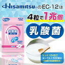 【ランキング1位！1兆個の乳酸菌で腸活！】乳酸菌(EC-12)チュアブル120粒 4粒で1兆個の乳酸菌 乳酸菌 フェカリス菌 サプリメント 乳酸菌サプリメント サプリ タブレット ビフィズス菌 ヨーグルト 腸内フローラ 久光製薬 2