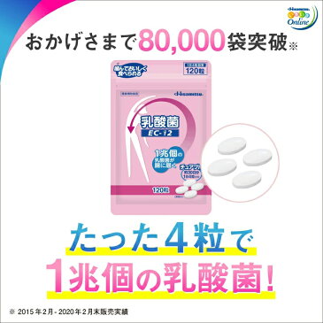 【ポイント10倍！4粒で1兆個の乳酸菌！】乳酸菌(EC-12)チュアブル120粒 腸活 サプリ 腸活サプリ 腸内フローラ フェカリス菌 乳酸菌サプリ【久光製薬公式】