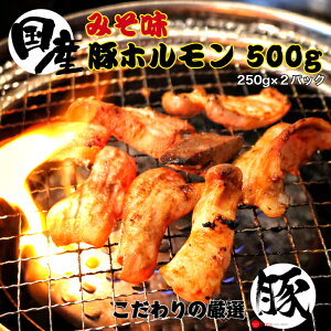 国産 豚 ホルモン 味噌 1パック250g×2パック合計500g 味噌タレ 焼肉 タレ 豚ホルモン 高級 ホルモン焼き 国産ホルモン 美味しい バーベキュー bbq おつまみ 晩酌 お取り寄せ グルメ 肉 味付 冷凍食品 おかず 冷凍惣菜 味付き肉 味付け肉 贈り物 敬老の日 お歳暮の画像