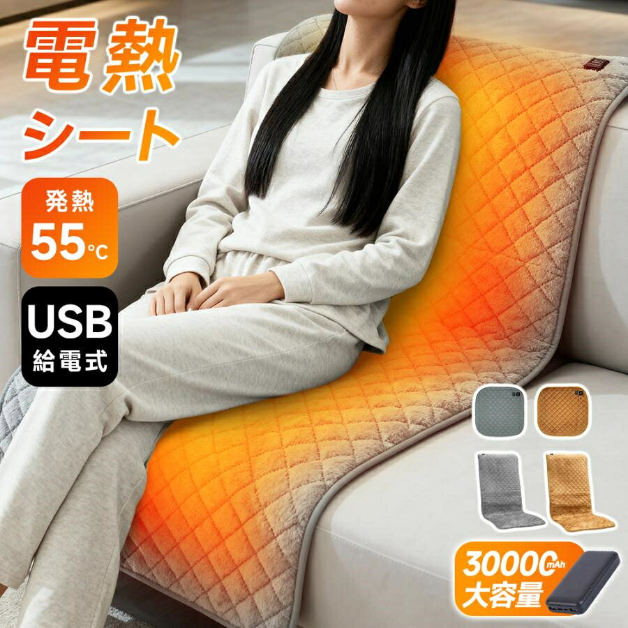 【限定10％OFFクーポン】 ヒータークッション ホットクッション パネルヒーター タイマー付 椅子用ヒーター シートヒーター ホットカーシート 電気シート 電気ヒーター 電熱シート 省エネ ホットカーペット ホットマット 腰 背中 お尻 座椅子 車内 暖房 節電