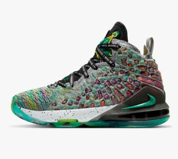 NIKE ナイキ LeBron 17 (GS)