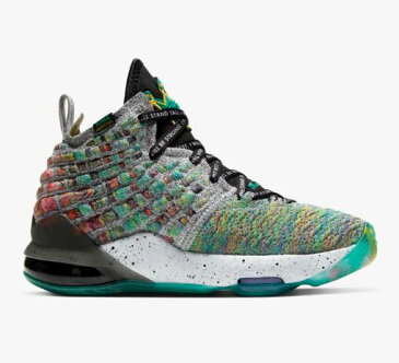 NIKE ナイキ LeBron 17 (GS)