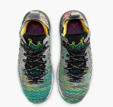 NIKE ナイキ LeBron 17 (GS)