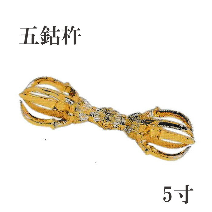 ̩ʩ񡡸޸ڵϡ5ڻʩ̩