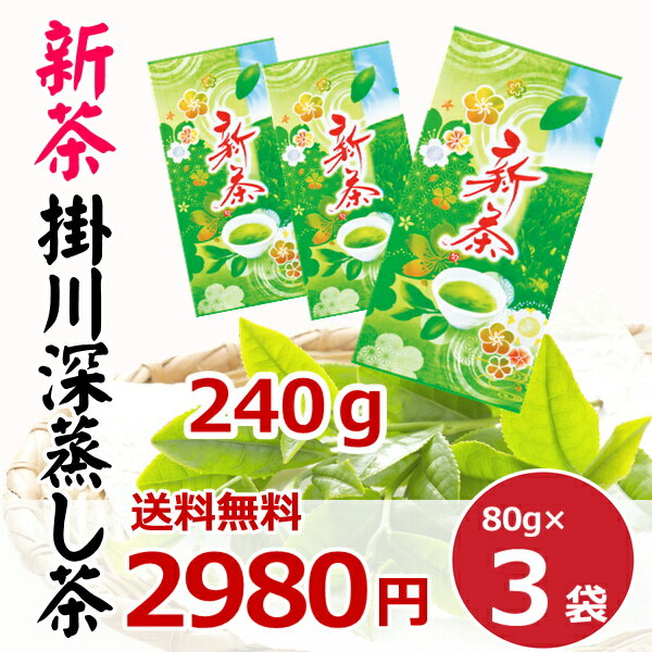 乐天商城 - 【新茶予約品】【数量限定】2026年度産 新茶 期間限定 煎茶 掛川産 深蒸し 静岡茶 80g 3袋 うれしい ほうじ茶 おまけ付き ポスト便込 送料無料
