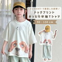 \20%OFFクーポン使用で1984円/ベビー服 子供服 女の子 男の子 Tシャツ カットソー シャツ 半袖 ベビー キッズ 夏 夏服 子ども トップス おしゃ...