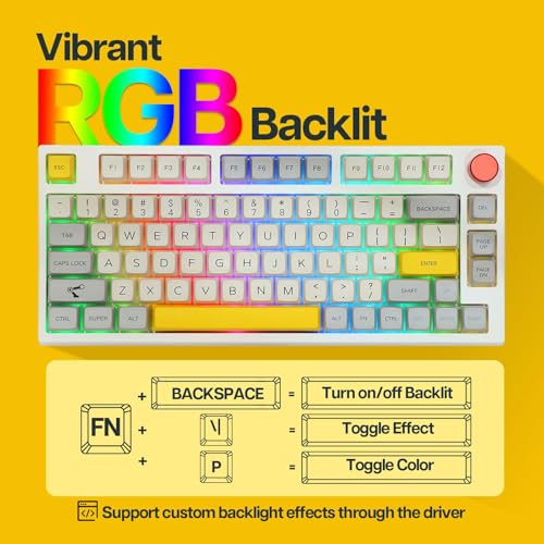 EPOMAKER TH80 Pro ワイヤレスゲーミングキーボード3モード(2.4Ghz/Bluetooth 5.0/USB-C有線)メカニカルキーボード ホットスワップ対応 RGBバックライトWindows/Mac/PS5/PS4/Xbox用 技適認証取得 (Theory, Gateron Pro Black)