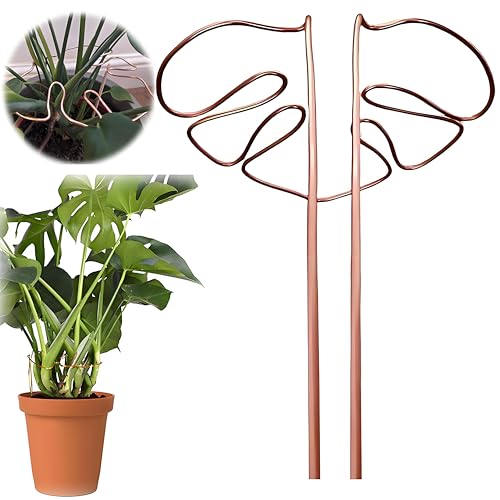 XIANFQNKJ モンステラ 支柱 園芸支柱 観葉植物 植物サポート 花支架 ガーデニング支柱 モンステラフラ..