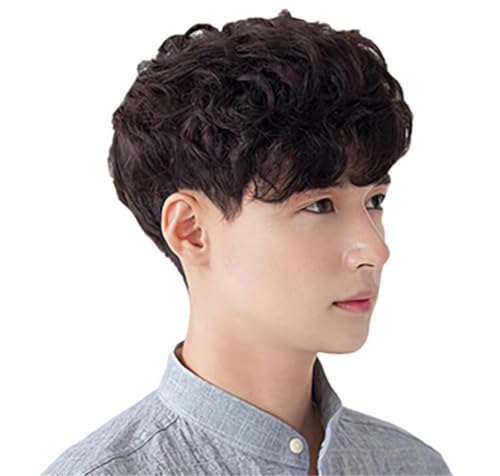 カツラ メンズ ウィッグ マッシュ パーマ 男性用 フルウィッグ ショート カール ゆるふわ ウィッグ 巻..
