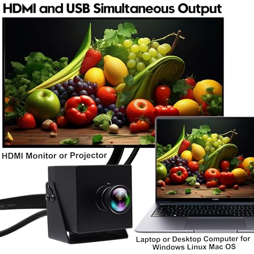 ELP HDMI 60fps USB カメラ 4K 高速 USB3.0 カメラ 礼拝会議モニター用 タイプ C HDMI 同時出力 PC カメラ コンピューター用 120 度歪みなしレンズ 2 倍デジタルズーム ウェブカメラ
