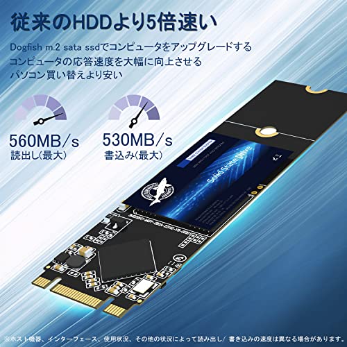 Dogfish M.2 SATA SSD 2280 4TB NGFF 3D NAND TLC 高性能内蔵 SSD 最大読込560MB/s, PC、ノートPCに使用, 含む 128GB 256GB 512GB 1TB 2TB 4TBM.2 2280 4TB - Image 2