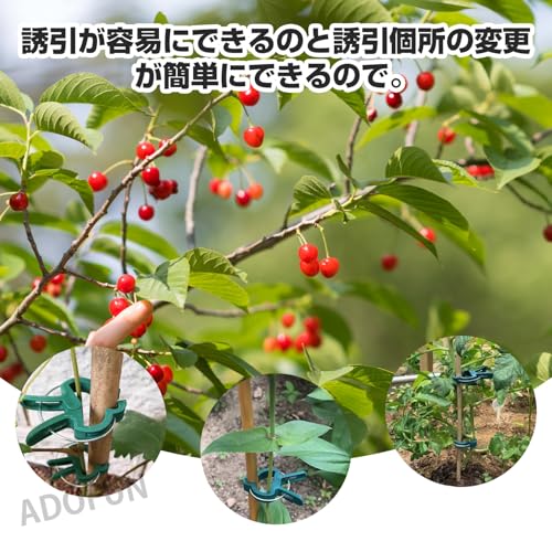 ADOFUN 植物クリップ20個入りグリーン プラスチック クリップ