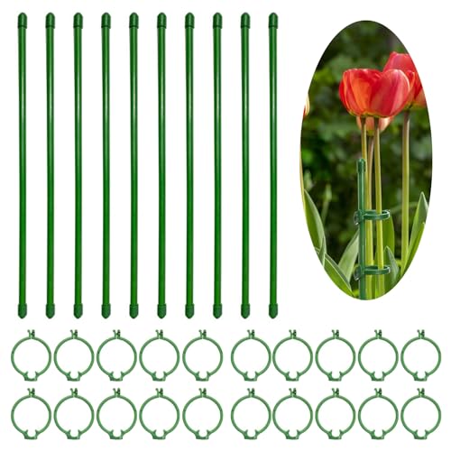 Makuki 園芸支柱 植物支柱 30cm*10個 フォルダ*20個 グリーン