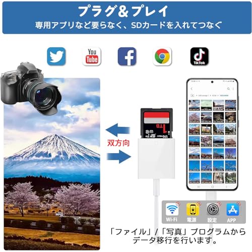 Historia 楽天市場店のSDカードリーダー タイプc 2025新安定版 Type-C SD TFカード 2in1 メモリカードリーダー OTG機能 設定不要 デジカメ スマホ データ転送 高速双方向 ビデオ/ファイル/写真読み込み 変換アダプタ i-Phone15/i-Pad/Mac/Android適用｜アングル3