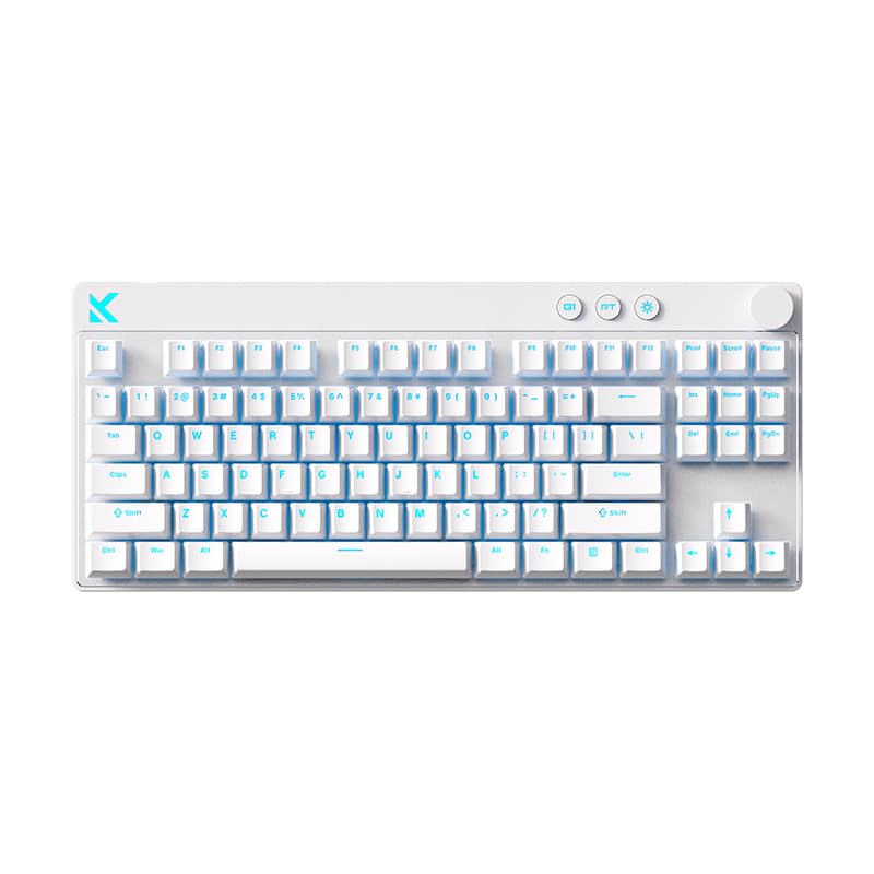 OUSEITECH×MCHOSE MIX87 ラピッドトリガー ゲーミングキーボード TKL US配列 ARGB アクチュエーションポイント 調整可能 DKS/SOCD/MT/TGL 日本語ウェブドライバー対応 磁気式スイッチ PBTキーキャップ メカニカル FPS向け PC 有線接続