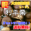 大分県ひた産“訳あり利平栗”2kg【L〜2L】【大玉】栗/クリ/くり/日田栗/ひた栗/日田のくり/大玉栗/りへい/利平/リヘイ/利平栗/
