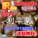 大分県ひた産“訳あり利平栗”2kg【2L〜3L】【厳選大玉】【訳あり】栗/クリ/くり/日田栗/ひた栗/日田のくり/大玉栗/りへい/利平/リヘイ/利平栗/