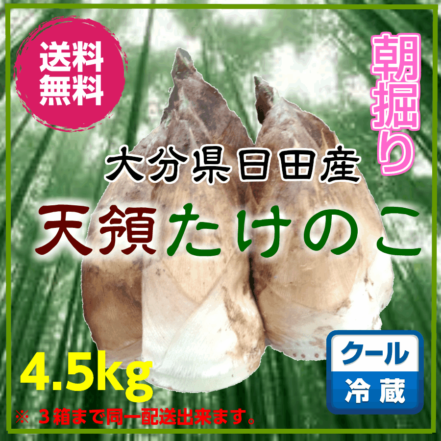 タケノコ　大分県日田産　4.5kg　タケノコ筍　たけのこ　竹の子　生たけのこ　生竹の子　生タケノコ　 ...