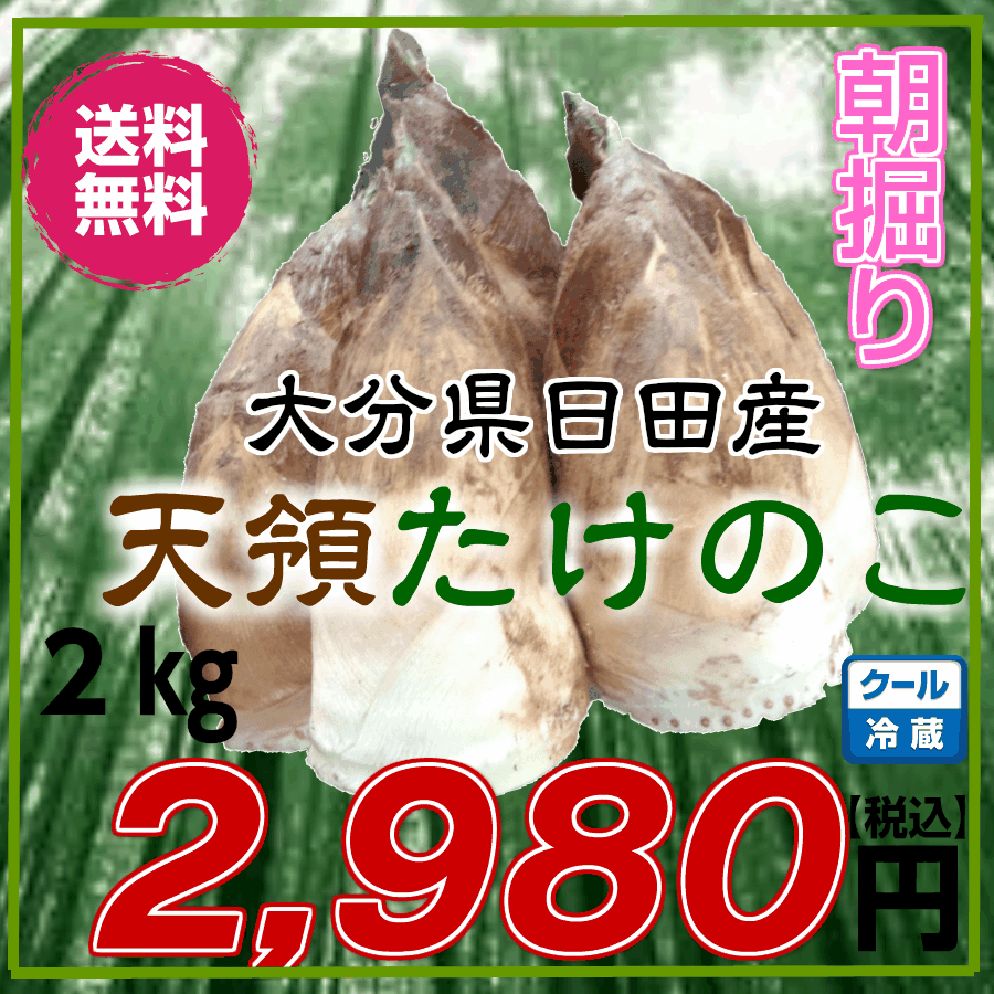たけのこ　大分県日田産　2kg　タケノコ 筍　たけのこ　竹の子　生たけのこ　生竹の子　生タケノコ　生筍　朝掘り筍　朝掘りたけのこ　朝掘りタケノコ　朝掘り筍のサムネイル