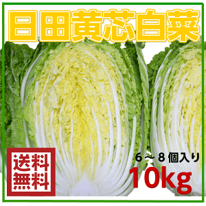 大分県産　黄芯白菜