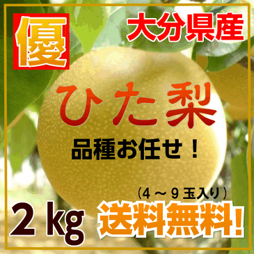 大分県産“ひた梨”【訳あり】【品種お任せ】送料無料！お試し2キロ♪市場直送/日田梨/なし/ナシ/梨/和梨/ご自宅用/訳あり/わけあり/訳アリ/幸水/豊水/新高/秋月/晩三吉/愛宕/10P06Aug16