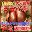 大分県産“生栗”2kg【Lサイズ】【秀品】【大玉】栗/クリ/くり/日田栗/ひた栗/日田のくり/大玉栗/甘栗/栗
