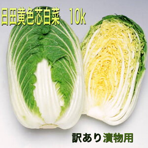 【冬野菜お取り寄せ】甘くて美味しい白菜を教えて