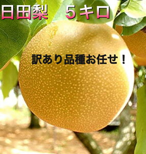 大分県産“ひた梨”【幸水】※※【8玉〜22玉】【訳あり】【送料無料】たっぷり5キロ♪豊水/秋月/新高市場直送/日田梨/なし/ナシ/梨/和梨/ご自宅用/訳あり/わけあり/訳アリ/