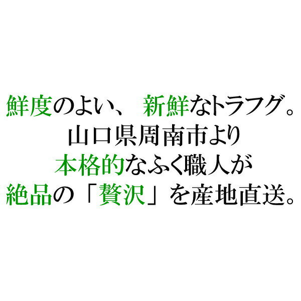 冷蔵 とらふぐ刺し セット 2人前 【とらふぐ刺身 60g とらふぐ皮ゆびき 60g ポン酢 35ml きざみネギ赤おろし 20g プラスチック皿 21cm 付き】 ふぐ刺身 ふぐ刺し 河豚 とらふぐセット お正月