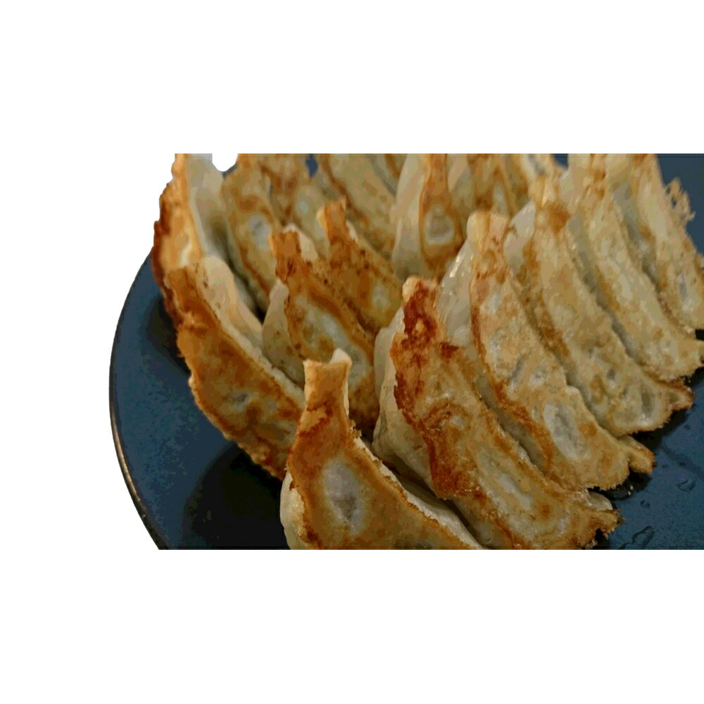 【11/20〜店内まとめ買いでP最大10倍】栃木 宇都宮餃子「さつき」セット さつき×45 (キムチ ゆず しそ 野洲 茶美人 下野)×各15 【さつき45個、...