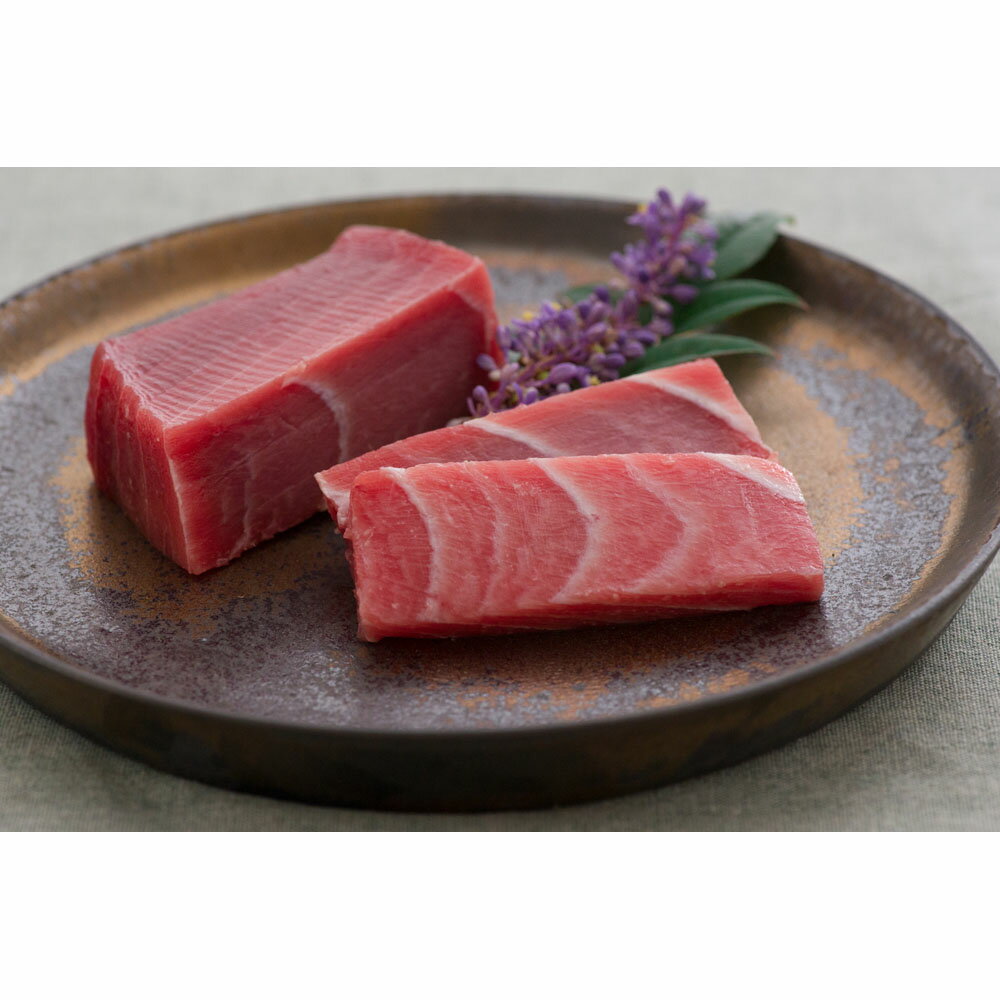 【11/20〜店内まとめ買いでP最大10倍】神奈川 「三浦三崎」三崎まぐろの詰合せ A ( 中トロ100g×2、赤身100g×1 ) | ギフト 送料無料 丁寧...