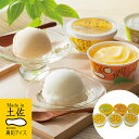 高知 Made in 土佐「南の国の高知アイス」高知アイス セット 115ml×6個 ( 115ml×6個(ゆずシャーベット、文旦シャーベット、ぽんかんシャーベ...