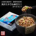 ギフト 高級納豆 海洋ミネラル納豆ミニ2 10個セット【送料無料】 高級納豆 納豆くさくない フルーティ 贈答 贈答品 贈り物 納豆菌 納豆キナーゼ 菊水食品