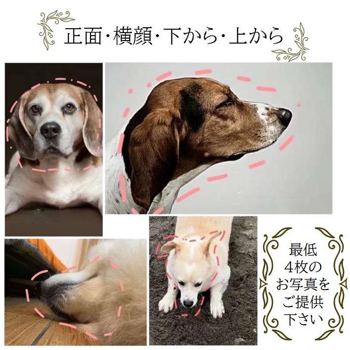 �� ǭ ���������ᥤ�� �ͷ� ���� ���Ӳ�ǽ �ڥåȥɡ��� ���ꥢ�� ��� �ˤ��