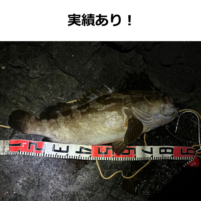 PEライン 40号 クエ アラ モロコ 大物 16本撚り 150m PE ライン 磯 ハンター 釣具 糸 船釣り 磯釣り KAIRI hitaste-10001305 Hitaste Japan サンプル画像2