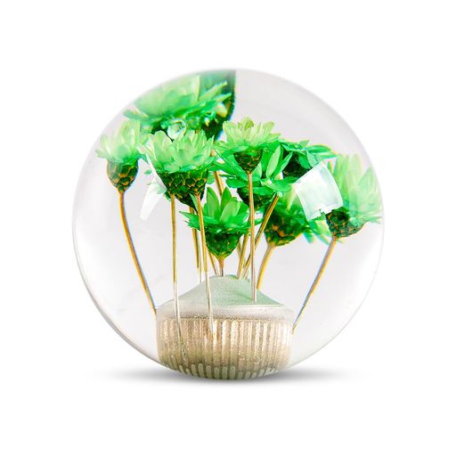 MUTEKI����֥��եȥΥִݷ������Υ֥��ꥹ�������ѥ�����С��إåɥܡ��뷿ATMT���ѹ񻺼֤��б�3���ॢ���ץ����դ�(��)