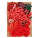 PATIKILナチュラルドライフラワー複数のカラフル本物のドライ押し花植物クラフト樹脂ソープキャンドルスクラップブッキング用レッドシリーズ