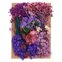 PATIKILナチュラルドライフラワー複数のカラフル本物のドライ押し花植物クラフト樹脂ソープキャンドルスクラップブッキング用パープル