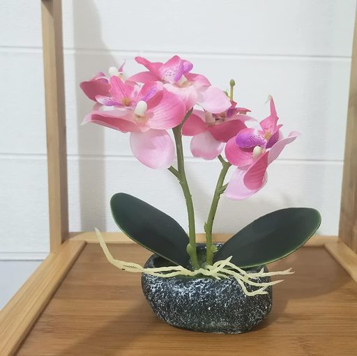 商品画像2