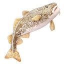 ZHONGXINMADEリアルなタラのぬいぐるみリアルな深海動物パシフィックタラぬいぐるみフィギュアスーパーソフト子供用ぬいぐるみぬいぐるみモデル知育玩具子供用...