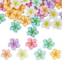 SUNNYCLUE 70個7色 五樹六花 プルメリア 花 チャーム フラワー 粘土ビーズ ペンダント 花 イヤリング 花びら ネックレス ハワイアン ポリマーク...