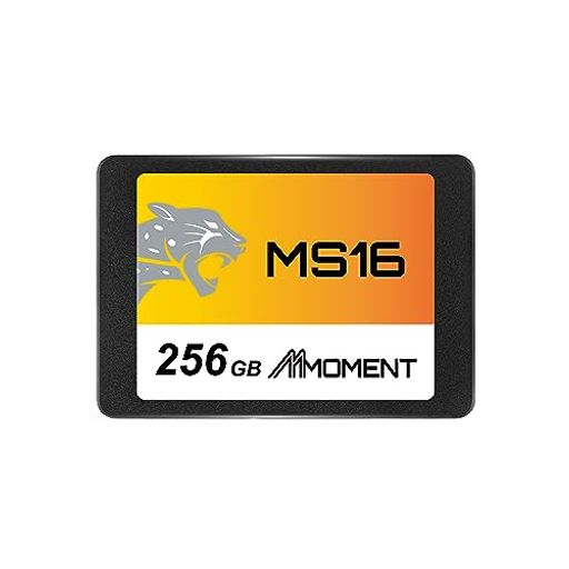 MMOMENT MS16 256GB 2.5インチ SSD SATA3 6Gb/s (最大読込550MB/s) ボックスパッケージ