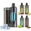 ARASHI電子タバコVAPEシーシャ25000回吸引回数大容量使い捨て新風味2ポッド5個付き水蒸気タバコベイプ爆煙カートリッジ交換可能持ち運び便利禁煙グッズニ...