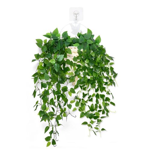 【お手入れ不要な観葉植物】水やり、剪定、育成する必要がなく、とても便利です。枯れる心配が一切なく、ずっと美しい状態を保ちます。忙しい方や植物栽培が苦手な方でも、簡単にグリーンインテリアを楽しめます。 【高品質フェイクグリーン】高品質のシルクフラワーを採用しており、藤の枝が自然に垂れ下がっており、とても清新で目を楽しませてくれます。壁にかけると、装飾効果が抜群です。 【組み立てが简単】観葉植物は簡単なデザインを採用し、工具を用いた組み立ては不要です。バスケットと組み立てて壁にかけるだけで完了します。 【様々なシーンで大活躍】リビング、キッチン、書斎、オフィスなどの場所で绿を添えられます。結婚式のテーブル装飾、新築祝い、誕生日プレゼント、引越しのギフトなど、心のこもった贈り物としても喜ばれます。 【商品仕様】全長約100cm。幅約20-25cm。重量:約0.07kg。使用中に何か問題がありましたら、いつでも連絡してください。私たちはご問題を解決するために努力します。
