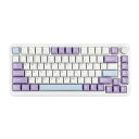 MechLandsAJAZZAK820MAXHEホール効果ゲーミングキーボードアクチュエーション調整可能8KHzポーリングレート有線ラピッド磁気キーボードクリーミーなガスケットRGBバックライトWin/Mac用NKRO(White)